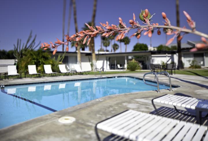 L'Horizon Resort & Spa, Hermann Bungalows Palm Springs Extérieur photo